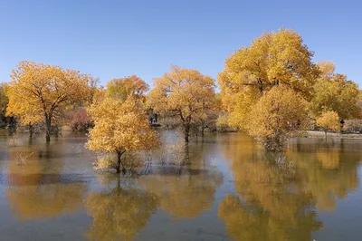 2018 National Day Holiday: Beijing-Dunhuang-Jiayuguan 6-Day Trip