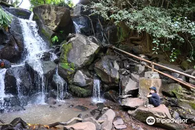 The Oloolua Nature Trail