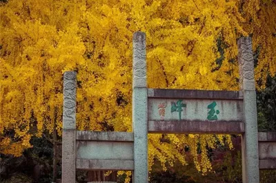 亭林園