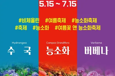 濟州夏季花卉節