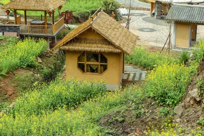 Chongyi in Ganzhou: Gaze upon Myriad Mu of Terraced Fields, and See Peach Blossoms in Full Bloom in the Forest Park