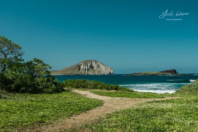 Hawaii Travel｜Makapuu Beach Park, the Easternmost Beach Park on Oahu