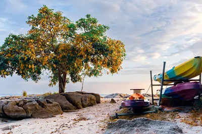Pantai Tanjung Asam ( Bayan Lepas, Pulau Pinang )