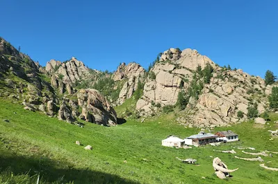 Dino Park