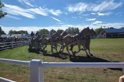 Carp Agricultural Society (Carp Fair)
