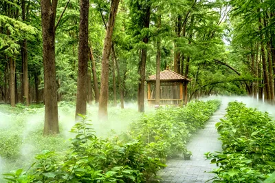 Li Zhong Water Forest Park: A Dreamlike Fairyland
