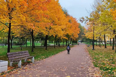 Park Malinovka