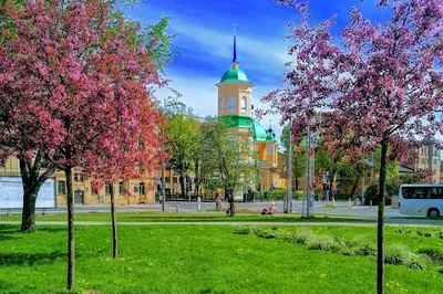 Vissvētās Dievmātes Pasludināšanas pareizticīgo baznīca