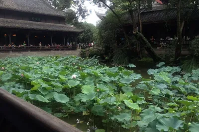 終於實現了我一直心心念念的川渝行