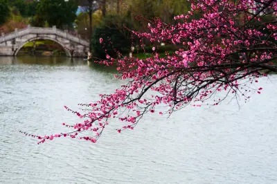 超山风景名胜区