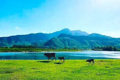 Yên Retreat