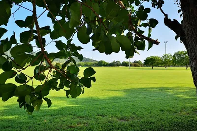 Endeavour Park