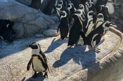 Adventure Aquarium