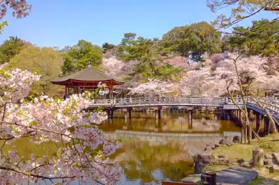奈良児童遊園