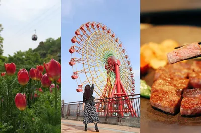 Travel Contents: Snagging Amazing Deals on a Two-Day Kansai Adventure