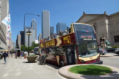 Where to Go in Chicago? 5 Fall Destinations!