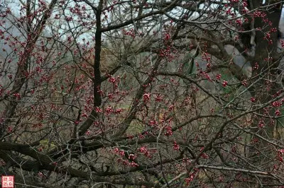 鄭州新密的紅石林景區有什麼不同凡響之處？
