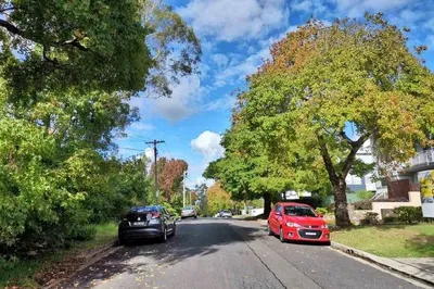 Sydney's autumn is beautiful, photographed from my doorstep