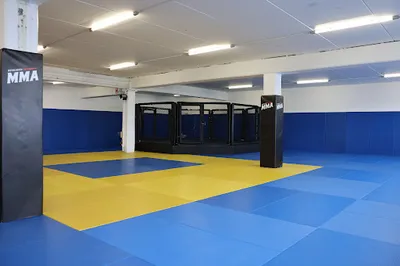 Reykjavík MMA