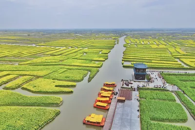 Embrace Spring: A Most Beautiful Encounter with Xinghua