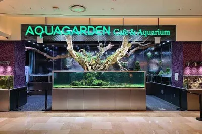 水上花园咖啡厅 (乐天世界塔店)