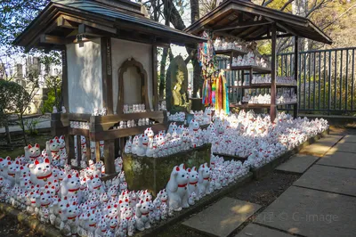 豪德寺
