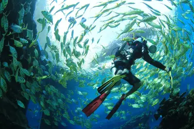 Haitang Bay Diving