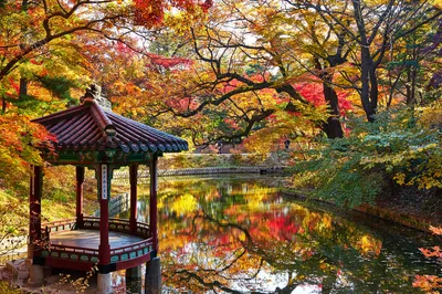 Wow! I heard you can experience all four seasons in one trip to Seoul??