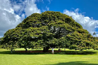 茂納魯亞花園