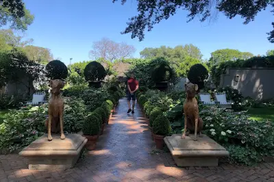 Beechwood Gardens