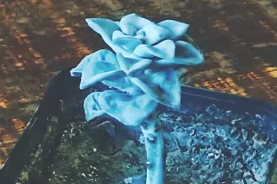 轉角遇到愛~研磨時光咖啡館（接續三）