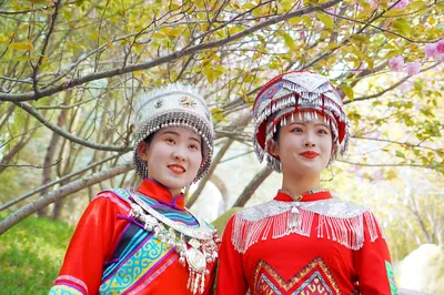 武漢賞櫻花，不想去武大東湖，土家妹子帶入溝，找回初戀的感覺