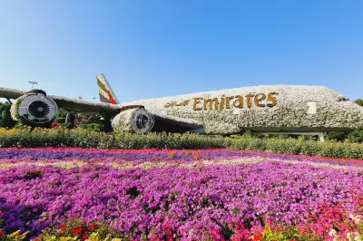 Miracle Garden Airplane Flowers