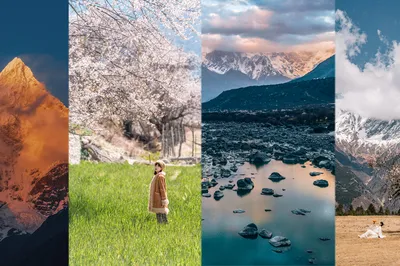 April’s Finest: A Reunion with Tibet’s Peach Blossoms