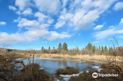 Weaselhead Flats