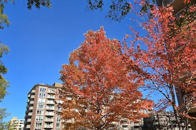 Southwest Waterfront Park