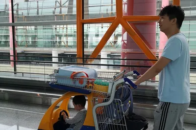 令和元年，九天八晚關東親子之旅2019