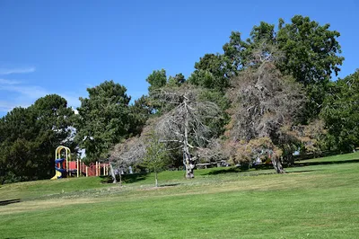 Barnum Recreation Center & Park