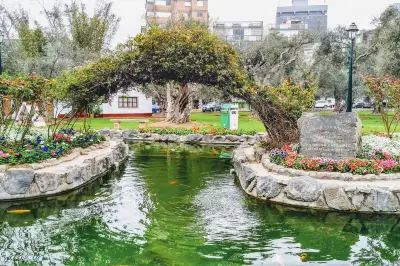 Parque El Olivar