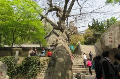 崂山太清宫有什么传说故事 这些故事去玩前一定要知道