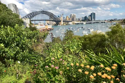 Wendy Whiteley's Secret Garden