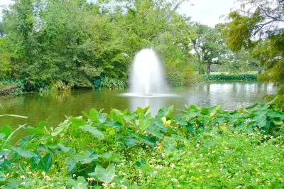 Audubon Park