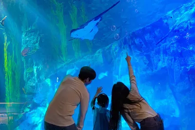 乐天世界水族馆