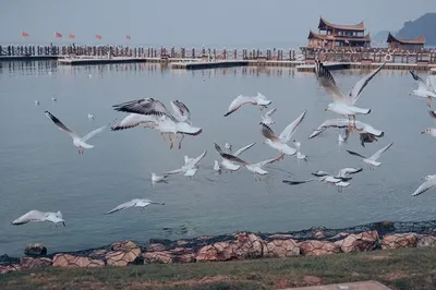 Always Unforgettable: A 4-Day Trip to Kunming, Following Wang Yibo's Footsteps