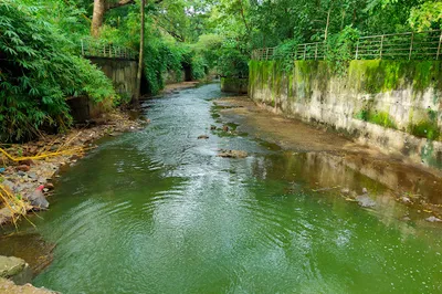 Powai Garden