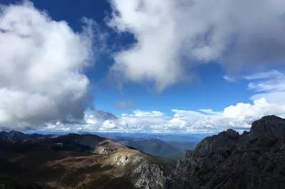 人生三大憾事之二：喂到嘴邊都沒喝到的雲南松茸雞湯