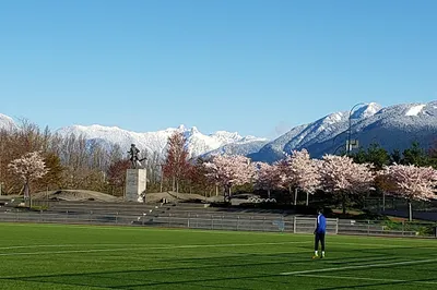 Empire Field