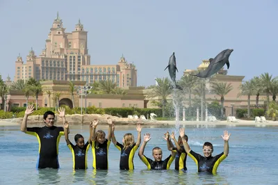 Dolphin Bay at Aquaventure World