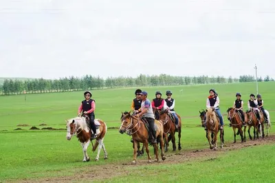 望湖山莊騎馬場