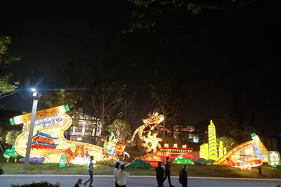 How to Have Fun During the New Year? The 2021 Jingzhou Garden Expo Park Spring Festival Lantern Show Keeps You 'Rocking the New Year'